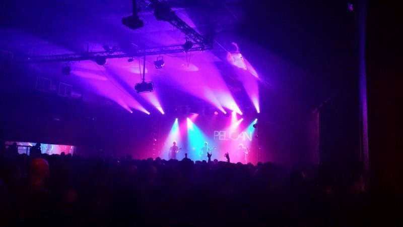 Pelican (Desertfest)