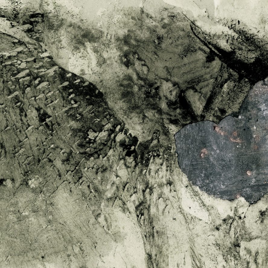 profeci Matecznik 2020 godz ov war