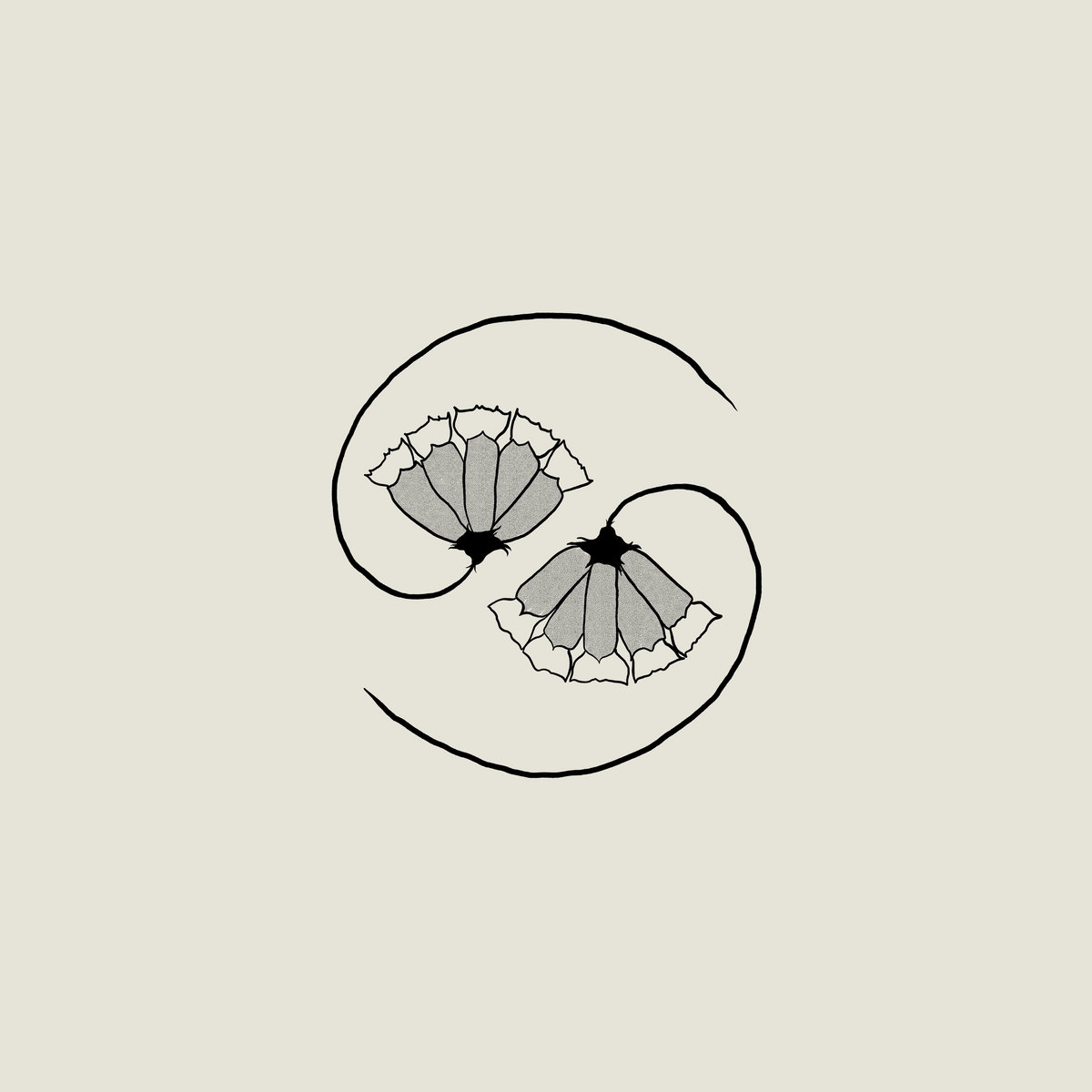 Godspeed You! Black Emperor 2021 cd vinyl