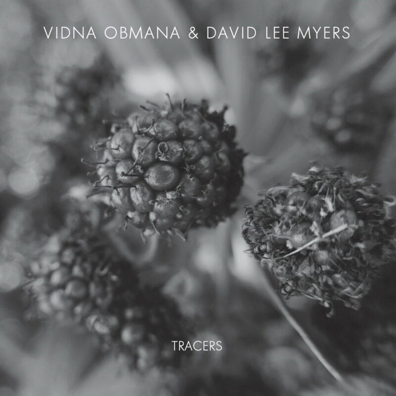 VIDNA OBMANA & DAVID LEE MYERS 2020