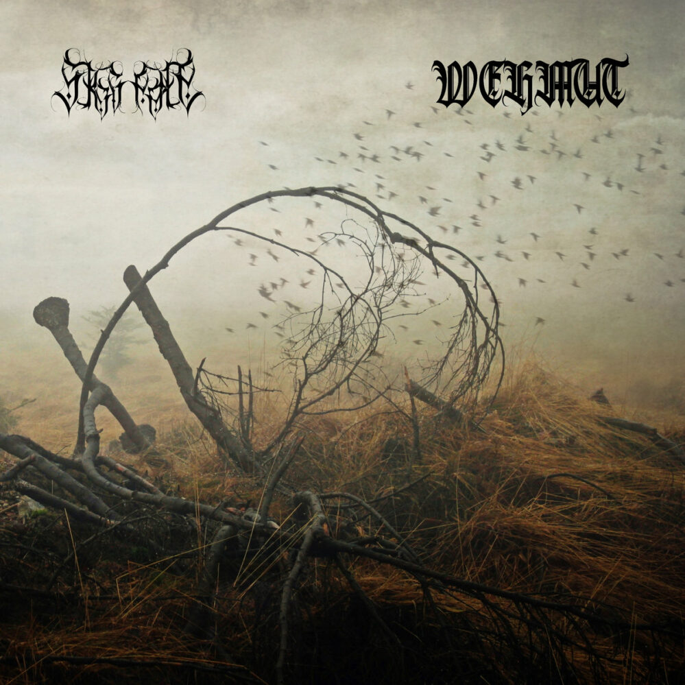 Skognatt / Wehmut - The Swarm / November