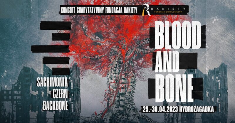 Blood and Bone - poster