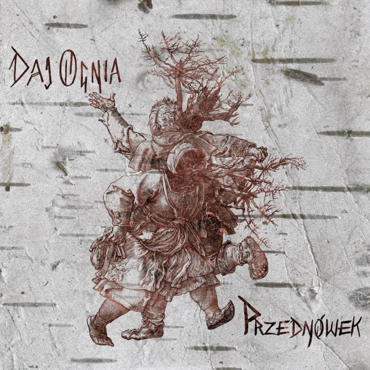 daj ognia przenówek 2023