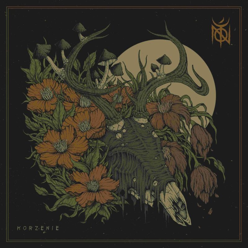 toń korzenie okładka sokólski