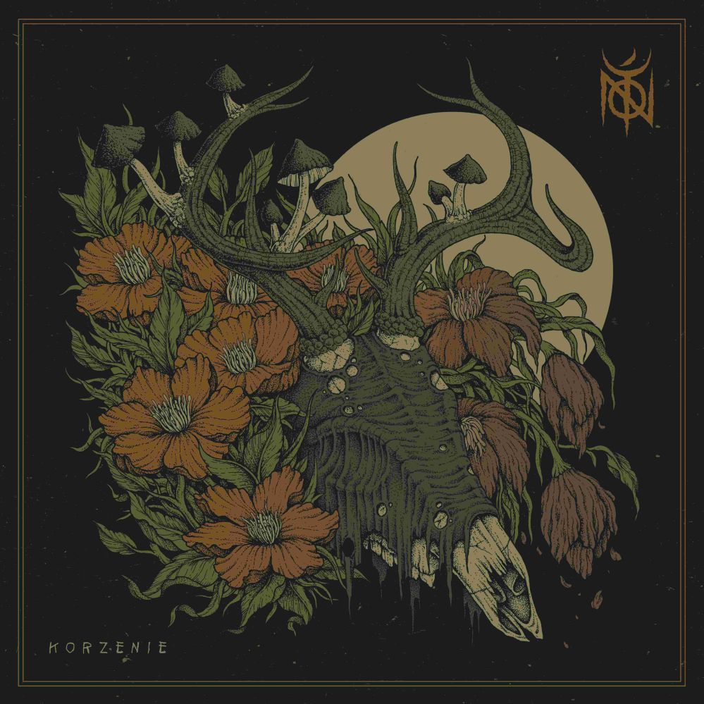 toń korzenie okładka sokólski