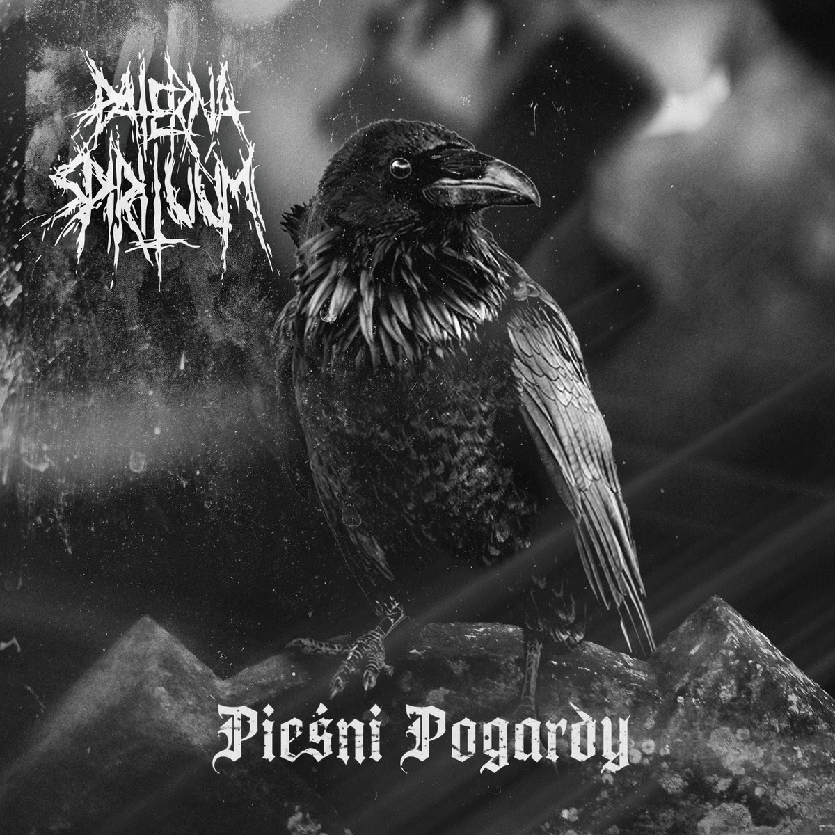 PATERNA SPIRITUUM Pieśni Pogardy cover artwork
