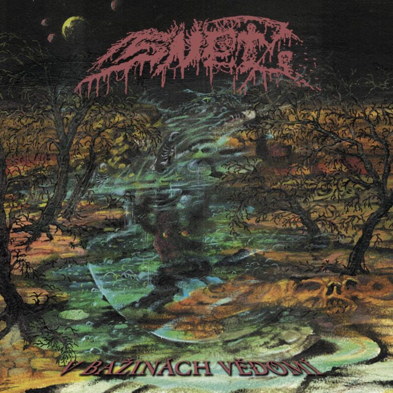 snet V bažinách vědomí 2026 album cover artwork