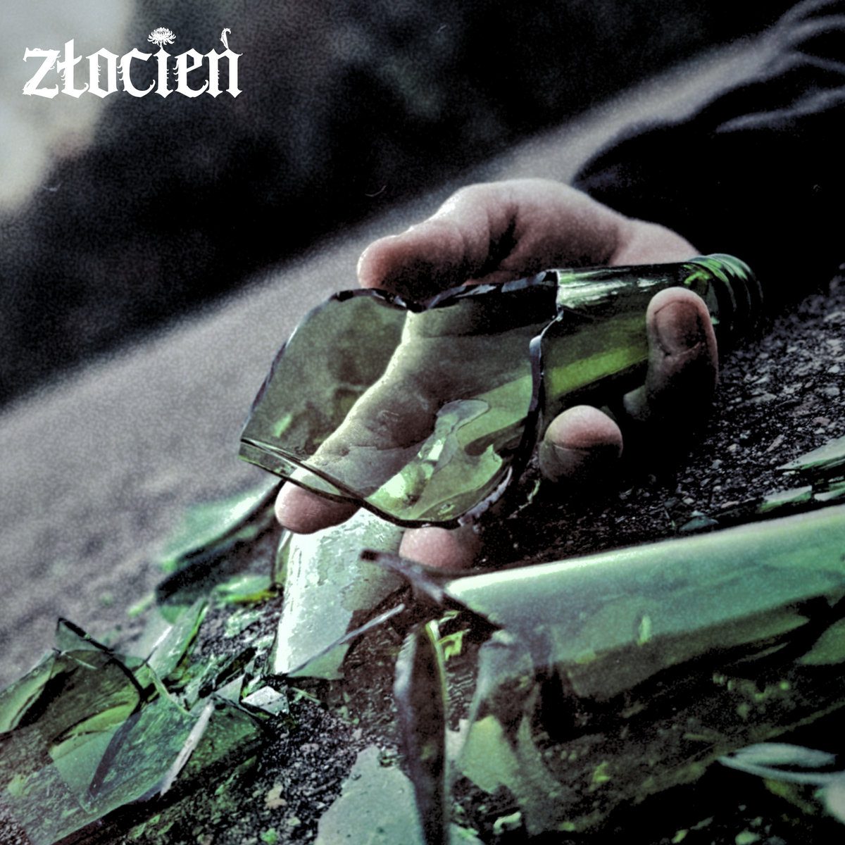 złocień egida 2026 singiel cover artwork