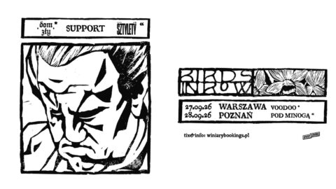 BIRDS IN ROW 2026 warszawa poznań plakat poster konkurs