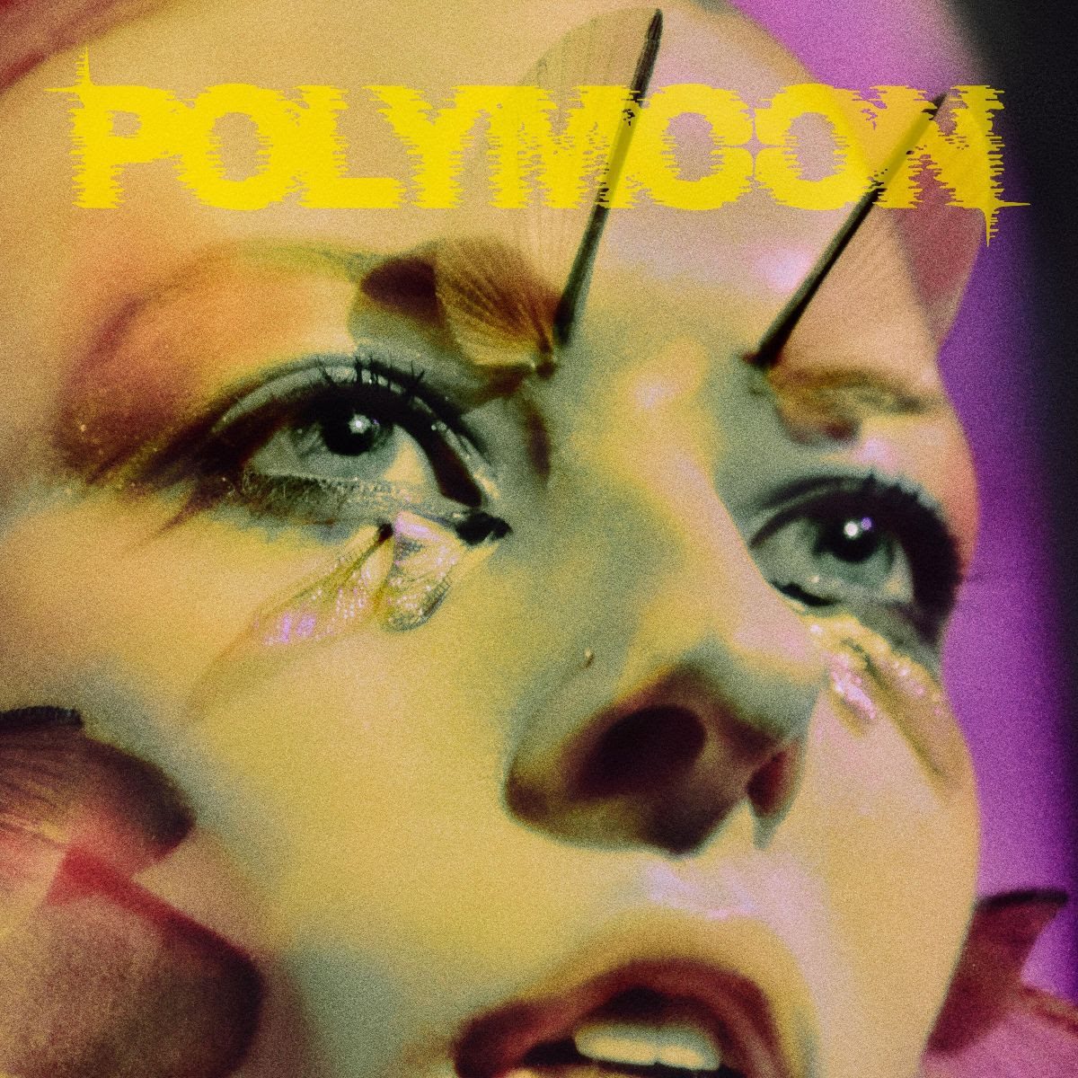 POLYMOON Mariposa Magic! 2026 ALBUM cover artwork