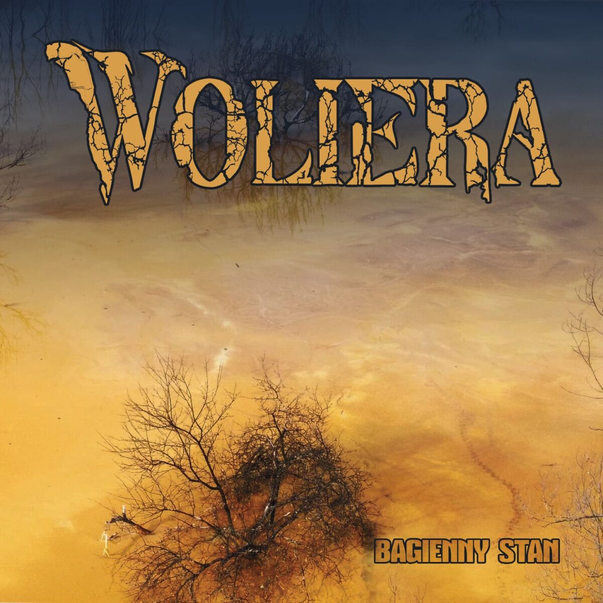woliera bagienny stan 2026 album cover artwork