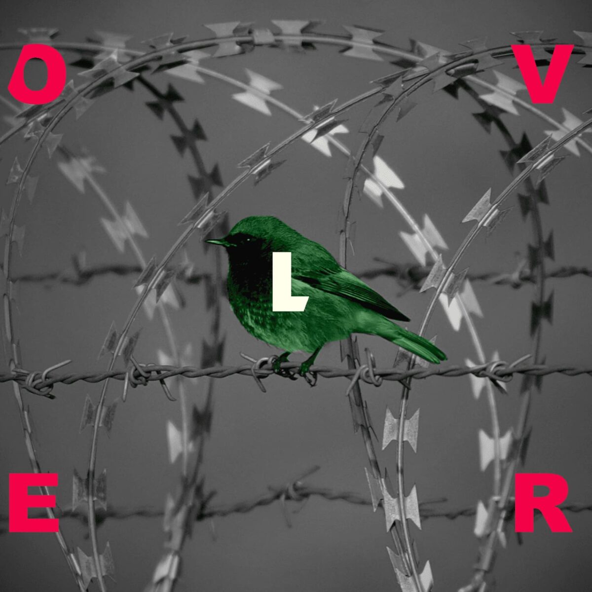 LOVER 2026 album cover artwork(1)